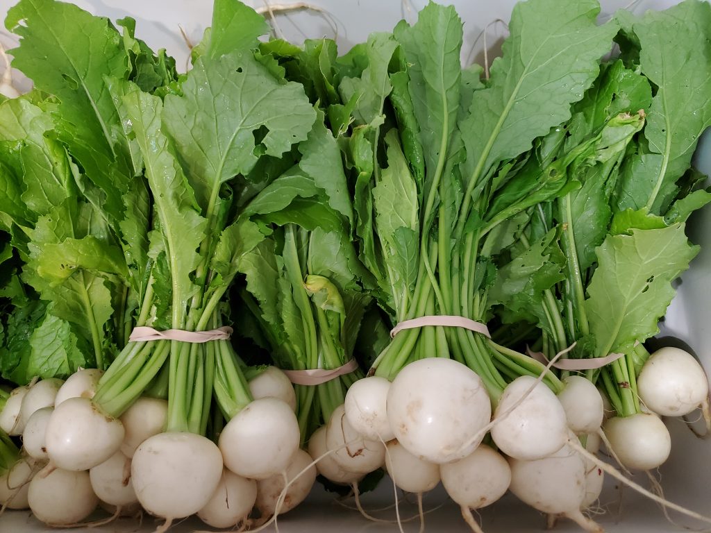 bunches of Hakurei turnips