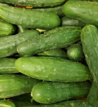 Mom’s cucumber salad