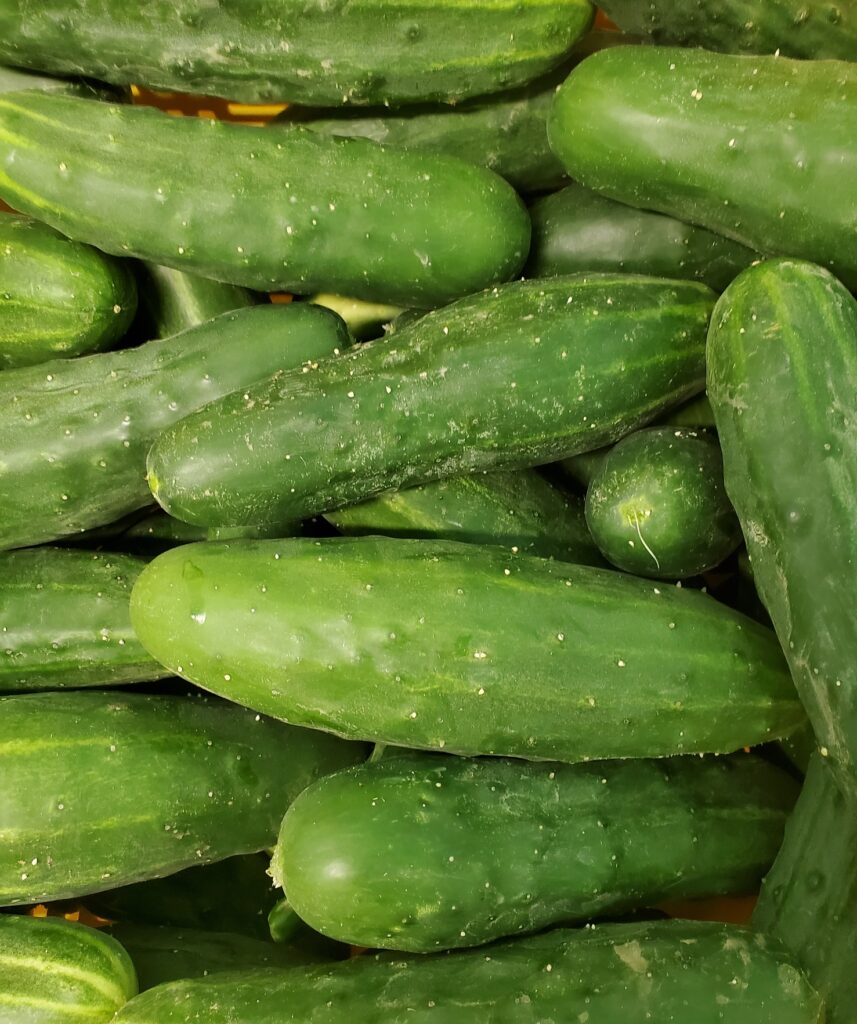 summer cucumber salad