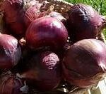 red onions