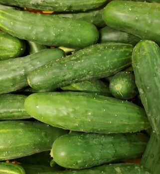 cucumber soup